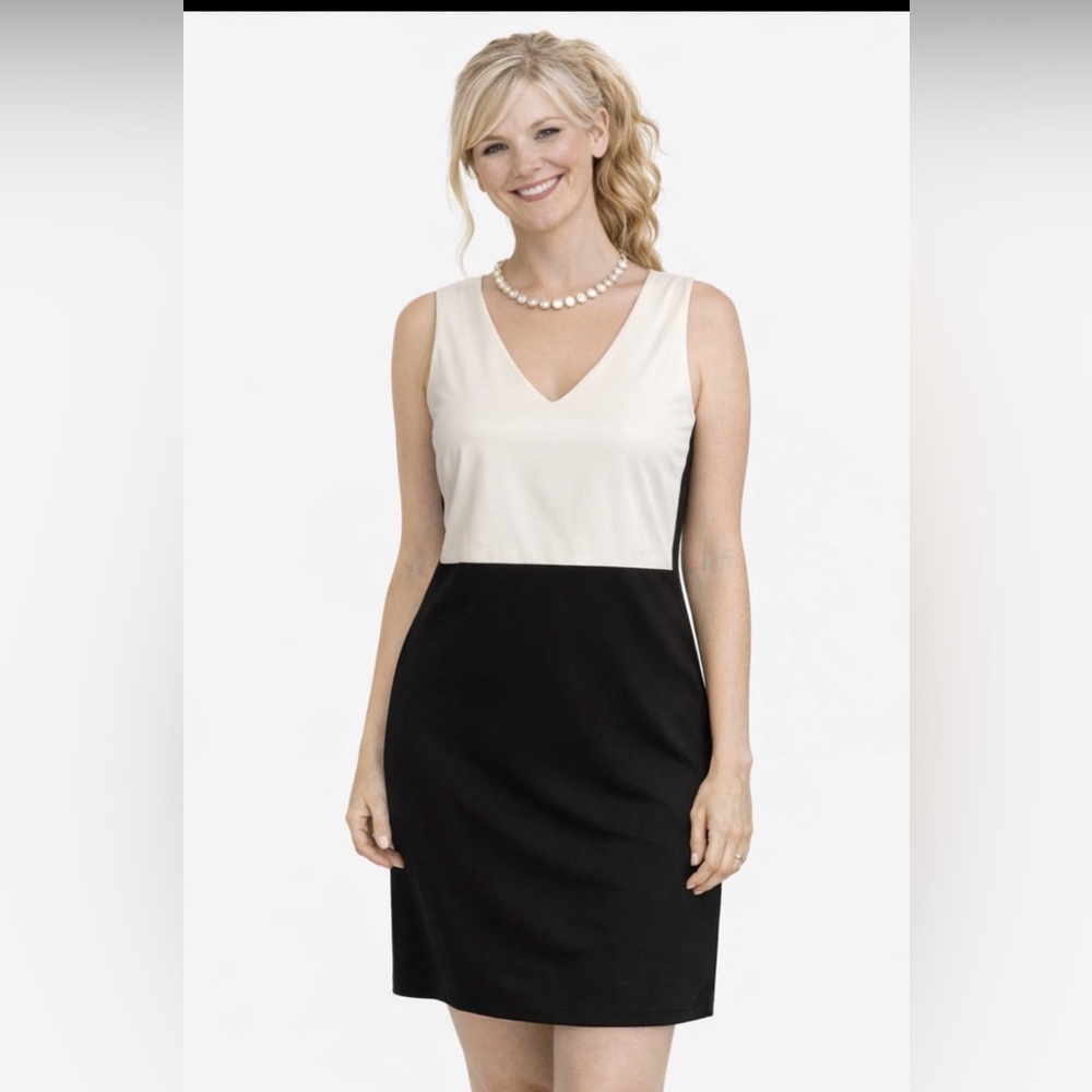 DEX Dress Black & White Colour Block Sz Large